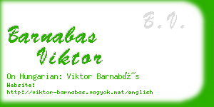 barnabas viktor business card